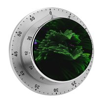 yanfind Timer Plant Closeup Dark Selective Focus  Beautiful 60 Minutes Mechanical Visual Timer