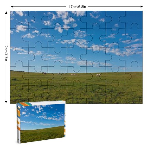yanfind Picture Puzzle Landscape Sunshine Zebra Speed Kills Safari Beautiful Field Plateau  Traffic Sky Family Game Intellectual Educational Game Jigsaw Puzzle Toy Set