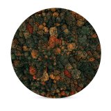 yanfind Ceramic Coasters (round) Clay Banks Autumn Trees Forest Aerial Birds  Trees Family Game Intellectual Educational Game Jigsaw Puzzle Toy Set