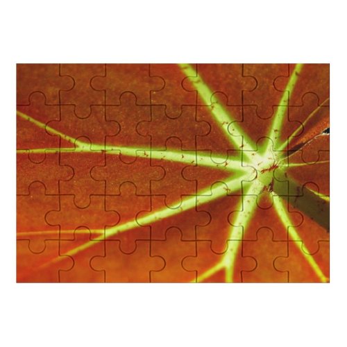 yanfind Picture Puzzle Leaf  Macro Plant Stem Flower Family Game Intellectual Educational Game Jigsaw Puzzle Toy Set