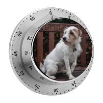 yanfind Timer Lovely Images Birmingham Pet Wallpapers Sweet Pictures Bench Creative Beautiful Strap Grey 60 Minutes Mechanical Visual Timer