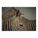 yanfind Picture Puzzle Welt Zebra Striped Lined with Respect Closeness Maasai Mara Savannas Wildlife Herbivore Family Game Intellectual Educational Game Jigsaw Puzzle Toy Set