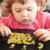 yanfind Picture Puzzle Daisies Flowers Floral  Bloom Spring Closeup 5K Family Game Intellectual Educational Game Jigsaw Puzzle Toy Set