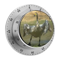 yanfind Timer Whooper  Beak Kneck Feather Flap Wing Bill Wetland Bird Cob Wildfowl 60 Minutes Mechanical Visual Timer
