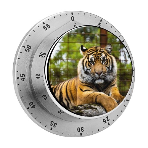 yanfind Timer  Big Cat Wildlife Closeup 60 Minutes Mechanical Visual Timer