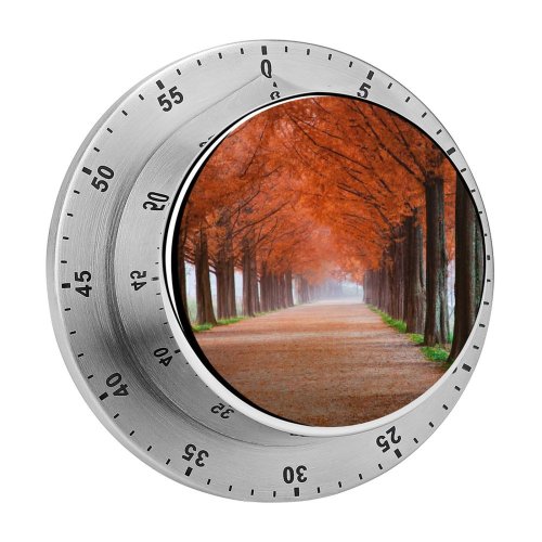 yanfind Timer Autumn Trees Path Foggy Mist Morning Fall 60 Minutes Mechanical Visual Timer