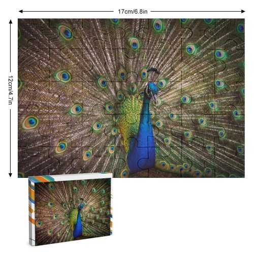 yanfind Picture Puzzle  Peafowl Beautiful Feathers Closeup Bird Colorful 5K Family Game Intellectual Educational Game Jigsaw Puzzle Toy Set