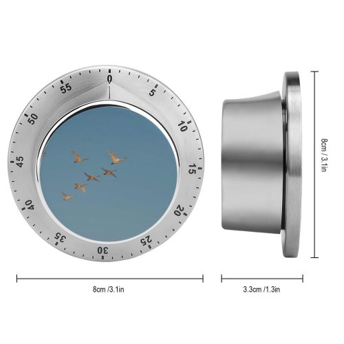 yanfind Timer Swans Formation Sky  Winter Airplane Flight  Travel Flap Aircraft Vehicle 60 Minutes Mechanical Visual Timer