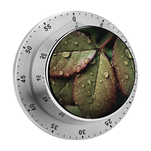 yanfind Timer  Leaves Rainy Drops Closeup Macro  HDR 60 Minutes Mechanical Visual Timer