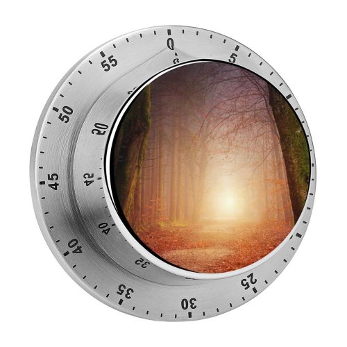 yanfind Timer Johannes Plenio Forest Road Foggy Autumn Fall Morning Light 60 Minutes Mechanical Visual Timer