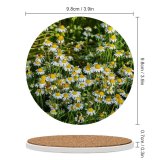 yanfind Ceramic Coasters (round) Москва Images Chamomile Ogorod Огород» Сад Flowers Aster Ботанический Plant Asteraceae Garden Family Game Intellectual Educational Game Jigsaw Puzzle Toy Set