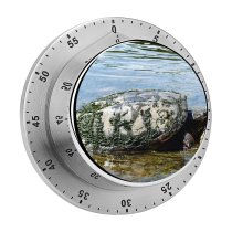 yanfind Timer Turtle Turtles Reptiles Reptile Wildlife River Old Mud Muddy Pond Tortoise 60 Minutes Mechanical Visual Timer