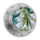 yanfind Timer Images Autumn Ogorod Flowers Public Plant Garden Pollen Amaryllidaceae Summer Hosta Pictures 60 Minutes Mechanical Visual Timer