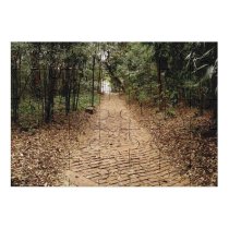 yanfind Picture Puzzle Road Forest Alley Wood Tree Campinas Stone Brick Flora Fall Trees Season Family Game Intellectual Educational Game Jigsaw Puzzle Toy Set