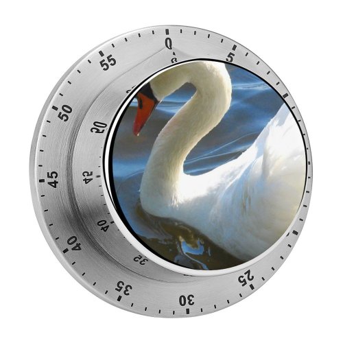 yanfind Timer   Bird Beak Ducks Geese Swans Neck Waterfowl Feather 60 Minutes Mechanical Visual Timer