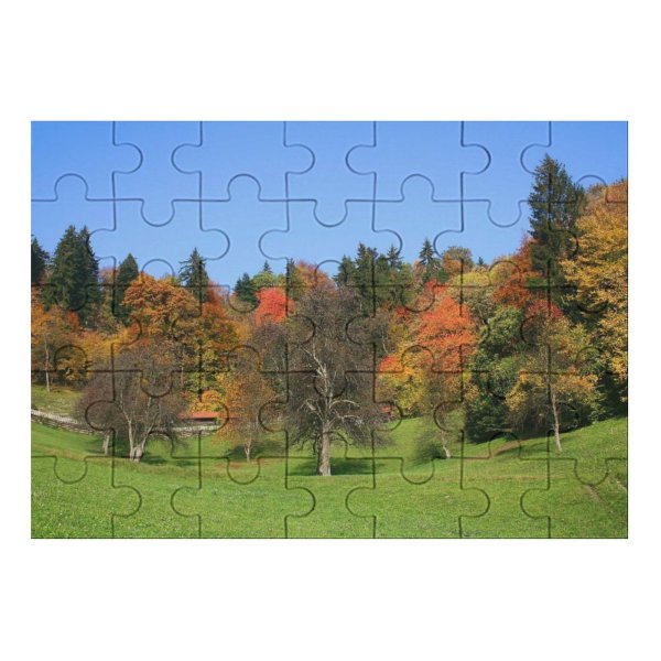 yanfind Picture Puzzle Leaf Autumn Season Natural Landscape Tree Sky Temperate Broadleaf Forest Biome Family Game Intellectual Educational Game Jigsaw Puzzle Toy Set