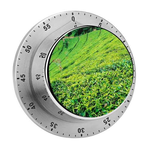 yanfind Timer Tea Bandung Bogor Puncak Jawa Hill Leave Leaves  Vegetation Plant Grass 60 Minutes Mechanical Visual Timer