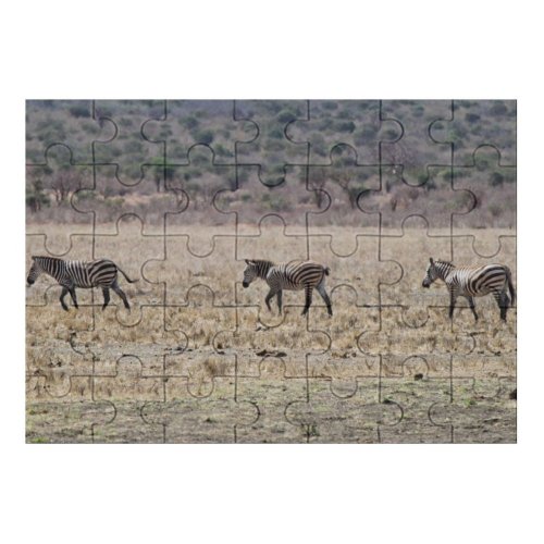 yanfind Picture Puzzle Zebras Zebra Follow Following Savannah Savanna Wildlife Vertebrate Terrestrial Safari  Grassland Family Game Intellectual Educational Game Jigsaw Puzzle Toy Set