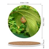 yanfind Ceramic Coasters (round) Snail Leaf Leaves Plant Flower Insect Organism Invertebrate Butterfly Flowering Family Game Intellectual Educational Game Jigsaw Puzzle Toy Set