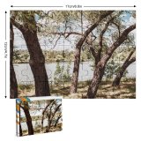 yanfind Picture Puzzle Images Landscape Wallpapers Plant Lake Outdoors Tree Summer Trunk Time Pictures Creative Family Game Intellectual Educational Game Jigsaw Puzzle Toy Set