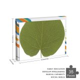 yanfind Picture Puzzle Leaf Texture Plant Flower Tree  Auritum Flowering Pathology Anthurium Bud Family Game Intellectual Educational Game Jigsaw Puzzle Toy Set