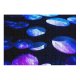 yanfind Picture Puzzle William Warby Abstract Dark Stands Purple Family Game Intellectual Educational Game Jigsaw Puzzle Toy Set