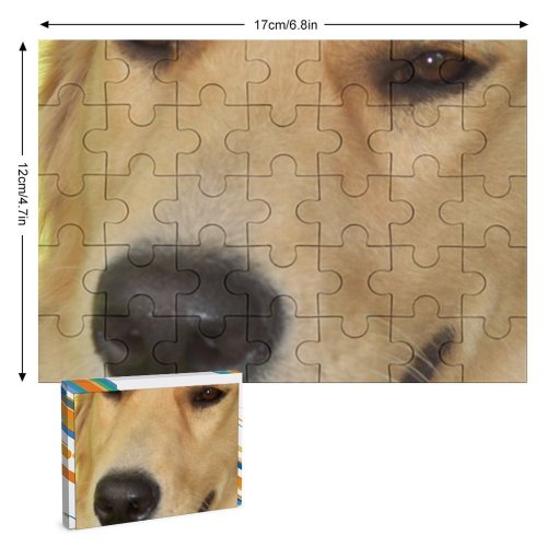 yanfind Picture Puzzle Dog Dogs Golden Vertebrate Canidae Carnivore Nose Snout Family Game Intellectual Educational Game Jigsaw Puzzle Toy Set