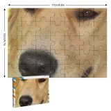 yanfind Picture Puzzle Dog Dogs Golden Vertebrate Canidae Carnivore Nose Snout Family Game Intellectual Educational Game Jigsaw Puzzle Toy Set