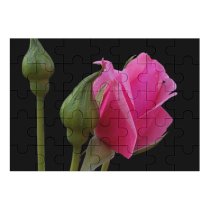 yanfind Picture Puzzle Rose Bud Leaf Flower  Flowering Plant Petal Pedicel Stem Flowers Family Game Intellectual Educational Game Jigsaw Puzzle Toy Set