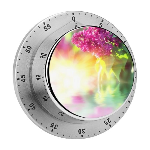 yanfind Timer Beauty Twig Early Garden Beautiful Flower Design Plant Petal Bush Leaf Spring 60 Minutes Mechanical Visual Timer