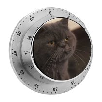 yanfind Timer Lovely Images Pet Cafe Manx Wallpapers Closeup Stock Free Pictures Cat Grey 60 Minutes Mechanical Visual Timer