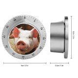 yanfind Timer Images Hog Pictures Pig Free 60 Minutes Mechanical Visual Timer