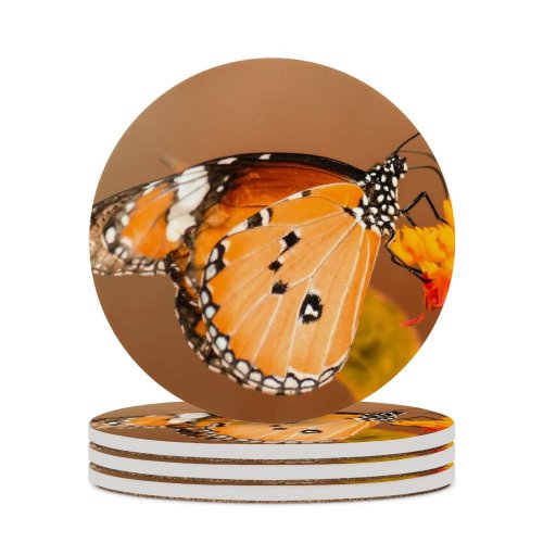 yanfind Ceramic Coasters (round) Images Taiwan Moth Insect Wing Public Antennae Wallpapers Plant Garden Borisworkshop Outdoors Family Game Intellectual Educational Game Jigsaw Puzzle Toy Set