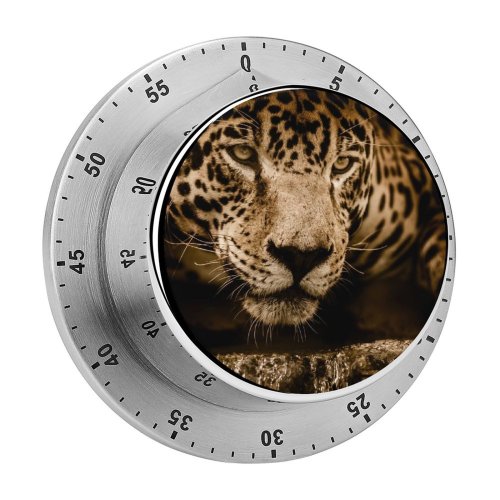 yanfind Timer Black Dark Jaguar Wildcat Wild Carnivore 60 Minutes Mechanical Visual Timer