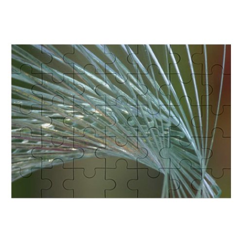 yanfind Picture Puzzle Detailed Art Use Sunlight Glass Lines Abtract Pine Leaf Tree Georgia Plant Family Game Intellectual Educational Game Jigsaw Puzzle Toy Set