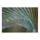 yanfind Picture Puzzle Detailed Art Use Sunlight Glass Lines Abtract Pine Leaf Tree Georgia Plant Family Game Intellectual Educational Game Jigsaw Puzzle Toy Set