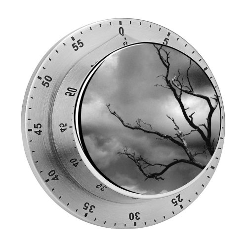 yanfind Timer Thunder  Tree Storm Sky Grey Mono Spooky Gothic Stormy Dead Dying 60 Minutes Mechanical Visual Timer