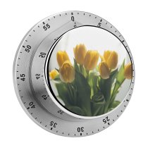 yanfind Timer Images Arrangement Wallpapers Plant Bouquet Floral  Flower Tulips Pictures Spring Tulip 60 Minutes Mechanical Visual Timer