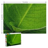 yanfind Picture Puzzle Leaf Blade Flower Banana Plant Terrestrial Botany Ensete Flowering  Lily Family Game Intellectual Educational Game Jigsaw Puzzle Toy Set