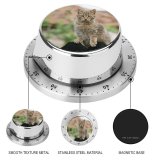 yanfind Timer Lovely Images Wildlife Pictures Pet Creature Curious Free  Cat 60 Minutes Mechanical Visual Timer