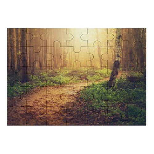 yanfind Picture Puzzle Dorothe Forest Path Sunlight Trees Woods Autumn Family Game Intellectual Educational Game Jigsaw Puzzle Toy Set