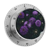yanfind Timer Images Autumn Petal Mother Flowers Aster Anemone Wallpapers Closeup Dahlia Plant Asteraceae 60 Minutes Mechanical Visual Timer