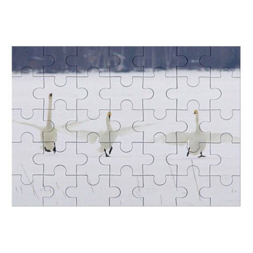 yanfind Picture Puzzle Whooper  Bird  Winter Snow Tundra Atmospheric Ducks Geese Swans Waterfowl Family Game Intellectual Educational Game Jigsaw Puzzle Toy Set