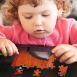 yanfind Picture Puzzle Denys Nevozhai Shinto Shrine Tokyo Japan Torii Pass Pathway Worship Family Game Intellectual Educational Game Jigsaw Puzzle Toy Set
