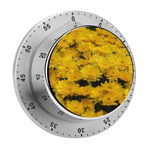 yanfind Timer Images Autumn Ogorod Flowers Wallpapers Plant Garden Free Dandelion Daisy Flower Chrysanthemum 60 Minutes Mechanical Visual Timer