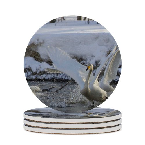 yanfind Ceramic Coasters (round) Whooper  Bird Fight Spring Lake Vertebrate Ducks Geese Swans Beak Tundra Family Game Intellectual Educational Game Jigsaw Puzzle Toy Set