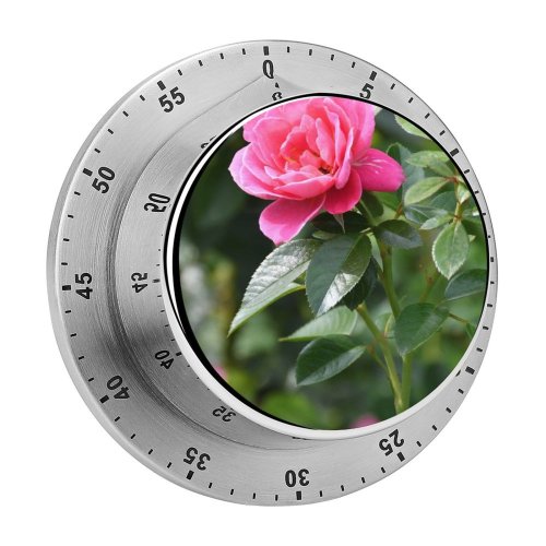 yanfind Timer Poznań Petals Images Rose Floral Flora Petal Peony Flowers Wallpapers Plant Polska 60 Minutes Mechanical Visual Timer