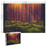 yanfind Picture Puzzle Hmetosche  Rays Forest Grass Woods Tall Trees Sunny Family Game Intellectual Educational Game Jigsaw Puzzle Toy Set