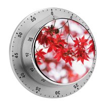 yanfind Timer Leaves Bokeh Closeup Autumn Maple Branches Fall Blurred Seasons 60 Minutes Mechanical Visual Timer