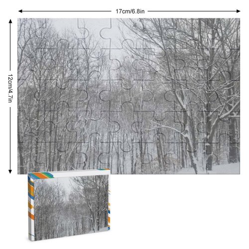 yanfind Picture Puzzle Images Land Flowers Snow Wallpapers Plant Outdoors Tree  States Winter Forest Family Game Intellectual Educational Game Jigsaw Puzzle Toy Set